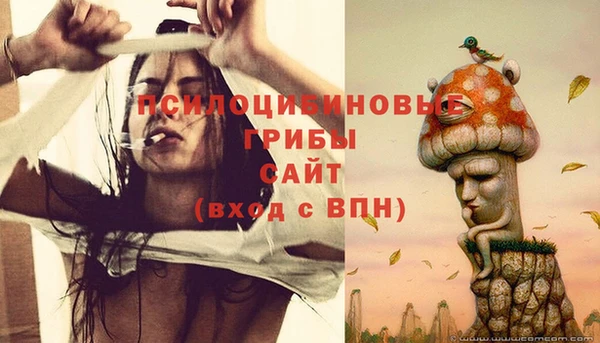эйфоретик Абаза